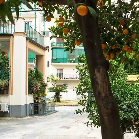 Bed & Breakfast Il Nido 3*